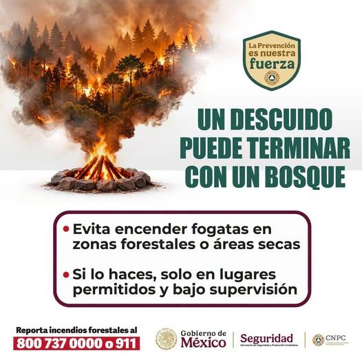 Cuidar nuestros bosques también es prevenir. Evita acciones que puedan iniciar un incendio forestal y reporta cualquier conato de inmediato.