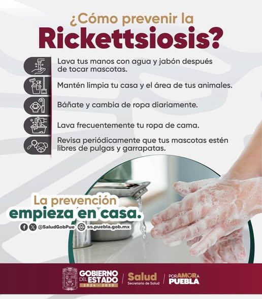 Mantener un hogar saludable es tarea de todos.
